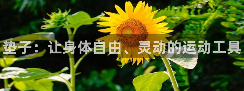 凯捷体育招商电话是多少啊:垫子:让身体自由、灵动的运动工具