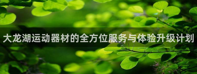 凯捷体育娱乐首页网站大全:大龙湖运动器材的全方位服务与体验升